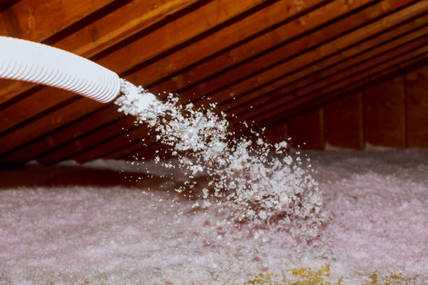 Best Specialized Insulation Services in Bushnell, FL