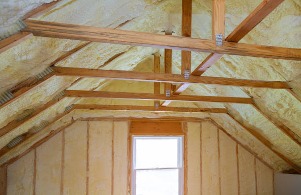Best DIY Insulation Kits and Guidance in Bushnell, FL