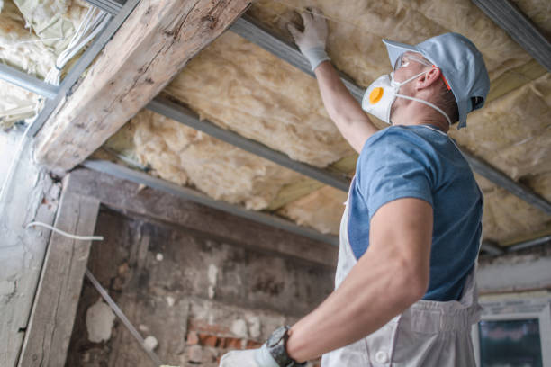 Best DIY Insulation Kits and Guidance in Bushnell, FL
