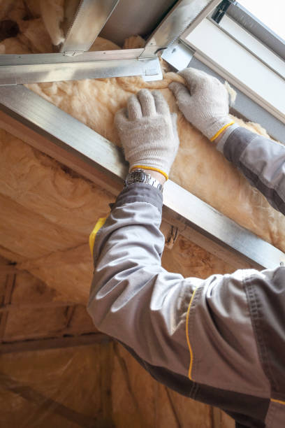 Best Cellulose Insulation in Bushnell, FL