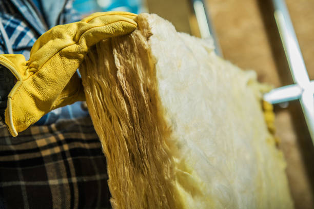 Best Specialized Insulation Services in Bushnell, FL