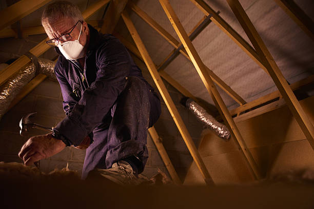 Trusted Bushnell, FL Insulation Contractor Experts